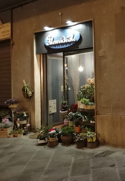 Fleurideale, Fiorista a Arezzo