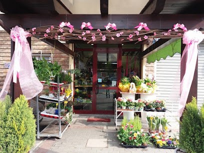 Fioreria La Baccara, Fiorista a Ferrara