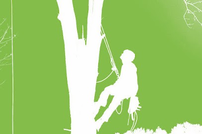 Fiorista Arcozzi Dal 1939 Di Arcozzi A. E Bandini P. Snc, Fiorista a Ravenna