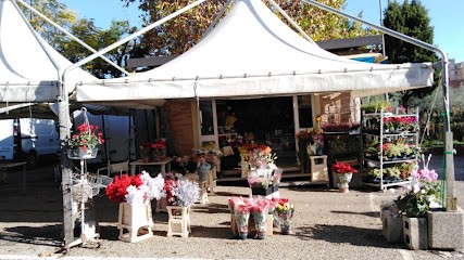 Aldo Taddeo Fiorista, Fiorista a Campagna