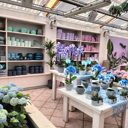 Fioreria Al Giardino, Fiorista a Rovereto