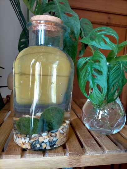 Vogliadiverde Di Gironi Paola, Fiorista a San Giovanni Valdarno