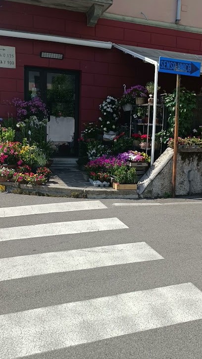 Lovison flowers and plants delivery to your house or b&b, Fiorista a Mandello del Lario