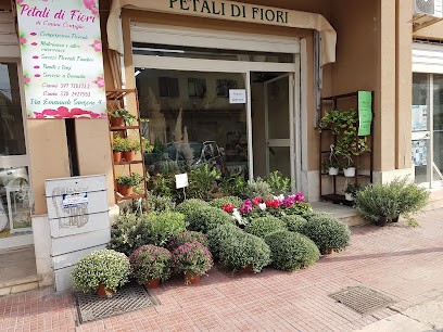 Petali Di Fiori Di Consiglio Gianni, Fiorista a Mazara del Vallo
