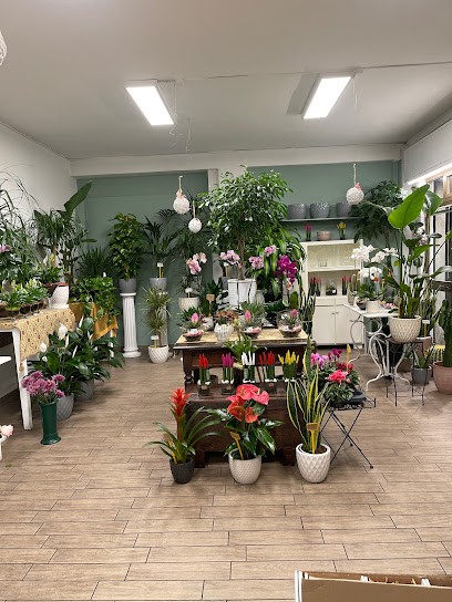 Nido Dei Fiori Di Garramone Anna Maria, Fiorista a Potenza