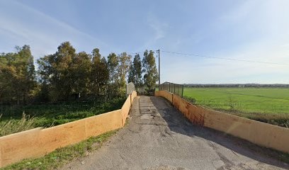 Marsicola Azelio, Fiorista a Roma