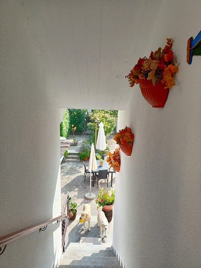 Fioreria Arlecchino, Fiorista a Mel