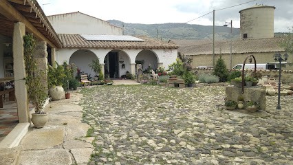 L'angolo Verde Di Pitzalis Stefania, Fiorista a Tuili