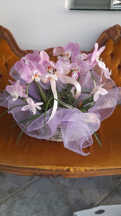 Pupa Wedding Planner, Fiorista a Riola Sardo