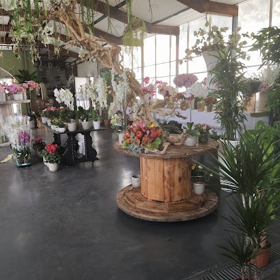 La Sinfonia Dei Fiori, Fiorista a San Giuseppe Vesuviano