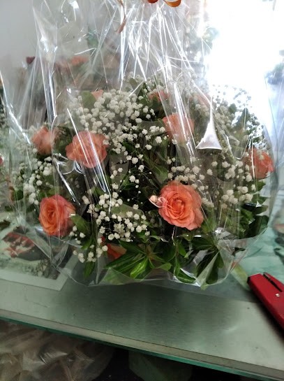 Franco & Sandra Fioristi La Primula, Fiorista a Santa Maria Capua Vetere