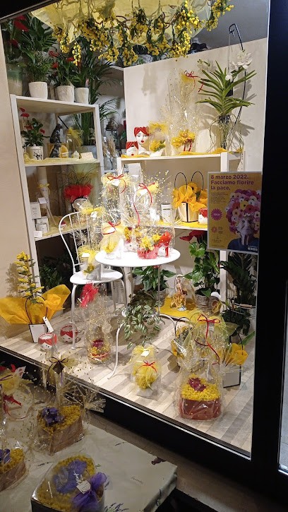 I Fiori Di Paola, Fiorista a Vescovato