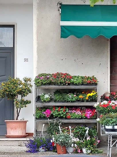 Cerri Debora, Fiorista a Moricone