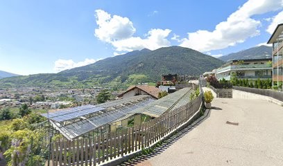 Reifer Evi, Fiorista a Bressanone