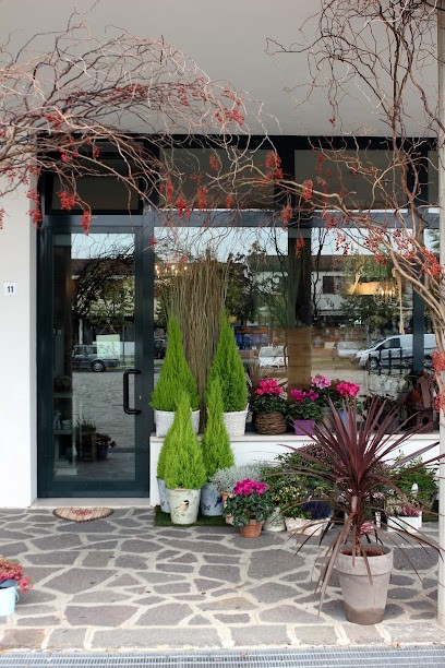 Il Giardino Dei Desideri Di Moras Elisa, Fiorista a Mirano