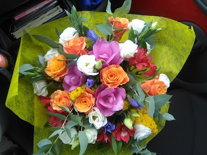 Floricoltura Magnani, Fiorista a Cesena