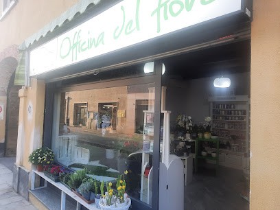 Officina del fiore, Fiorista a Landriano