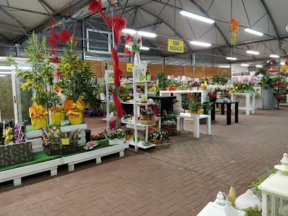 ROSSETTO GARDEN CENTER S.R.L., Fiorista a Fratta Polesine