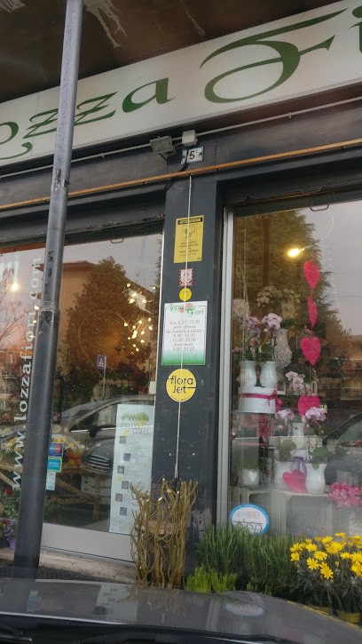 Lozza Fiori Snc Di Lozza S. & C., Fiorista a Gorle