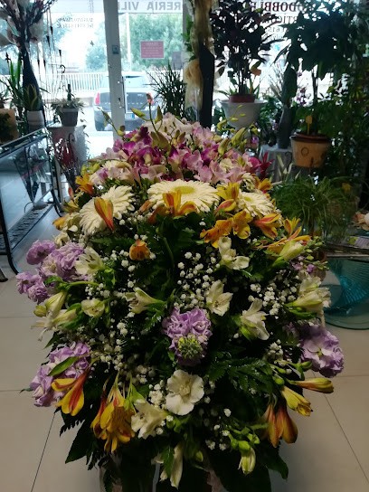 Villa Delio & C. Snc, Fiorista a Misano Adriatico