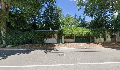 Irene Rosa, Fiorista a Torino