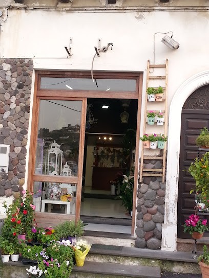 Falcon Floreal, Fiorista a Lipari