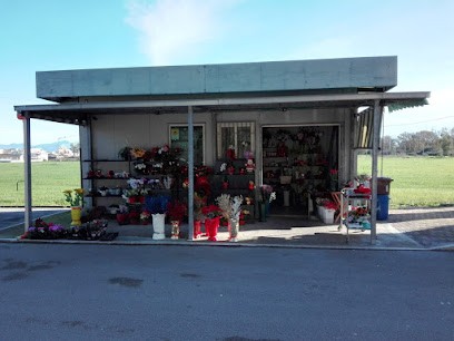 Flower di Borriello Francesca, Fiorista a Pontinia