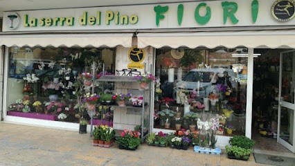 La Serra Del Pino Di Armando Di Mario, Fiorista a Roma