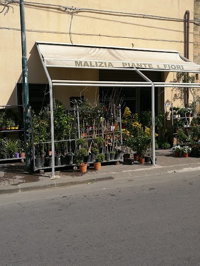Malizia Piante E Fiori, Fiorista a Grammichele
