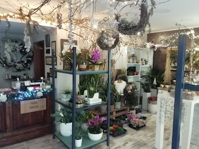 Fiori E Piante Di Cremaschi Giovanna e Fabio, Fiorista a Spirano