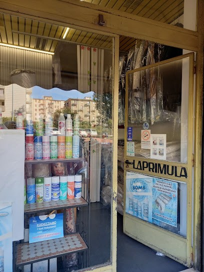 La Primula Di Fiori Alessandra, Fiorista a La Spezia