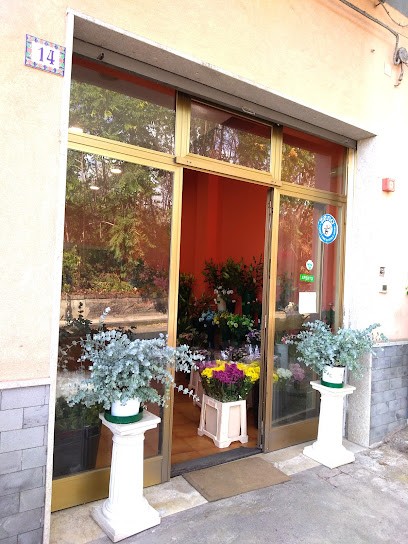 Casa Del Fiore Di Bella Rosa, Fiorista a Giarre