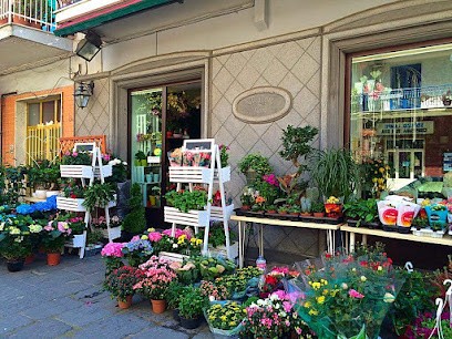 Boutique Del Fiore Di Natale Antonio, Fiorista a Cardito