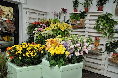 Petali e Rugiada, Fiorista a Cisliano