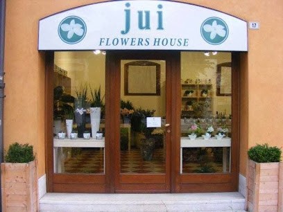 JUI FLOWER HOUSE, Fiorista a Montebelluna