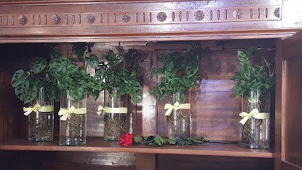 Il Fioraio, Fiorista a Mortara