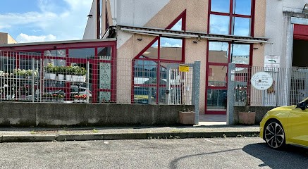 Fiori Pelizzari - Negozio Di Fiori, Fiorista a Rovato