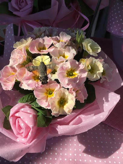 Piante E Fiori Nadia Paola, Fiorista a Modena