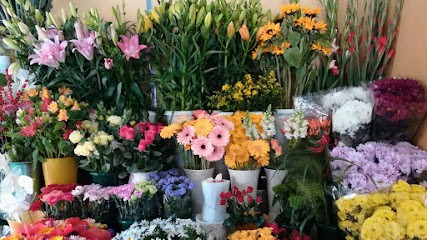 Ruggeri Fiori E Piante Pigneto, Fiorista a Roma