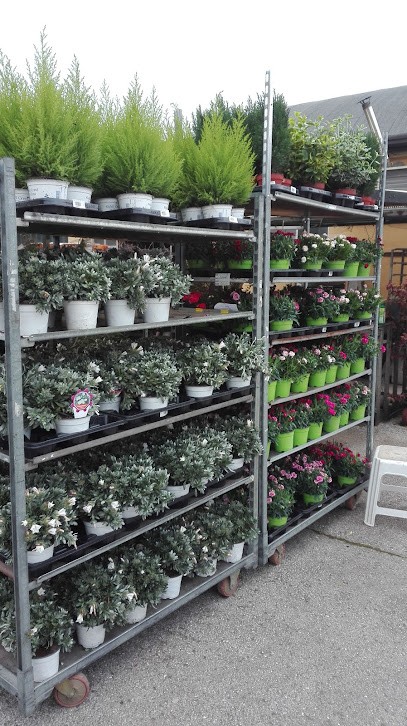 Il Giardino Di Danny Di Dalla Valle Daniele, Fiorista a Cornedo Vicentino