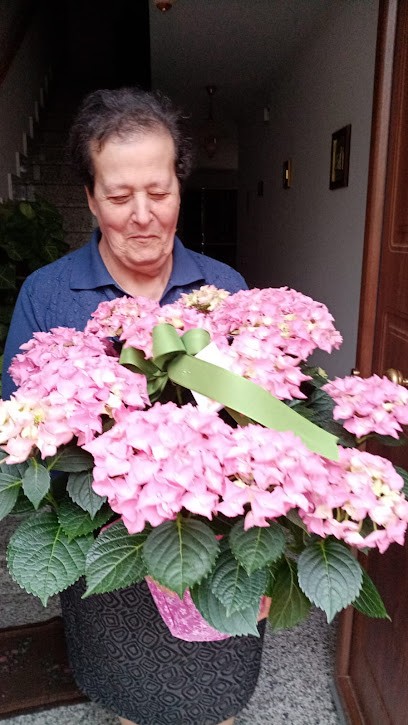 L'Angolo del Fiore di Nieddu Piera, Fiorista a Ittiri