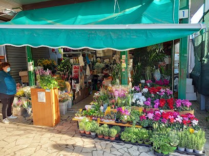 Tamara Fiori (Box 1), Fiorista a Roma