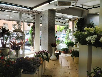 Franzini Fiori, Fiorista a Latina