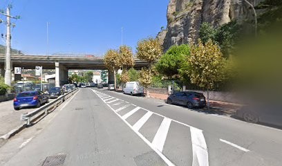 Sismondini A. & Figli S.N.C., Fiorista a Ventimiglia