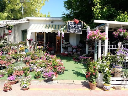 Chiosco Dei Fiori, Fiorista a Mantova