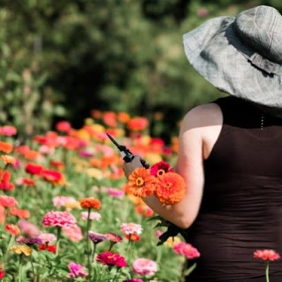 Olga’s Flower Farm, Fiorista a Longone al Segrino