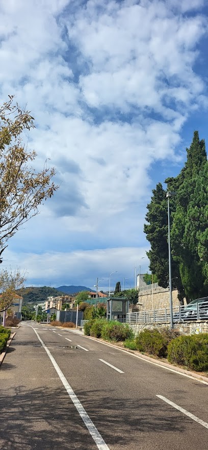 De Lucis Ceresola Anna, Fiorista a Santo Stefano al Mare