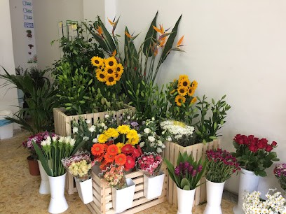 Piante E Fiori , Porta Furba, Tuscolana, Fiorista a Roma