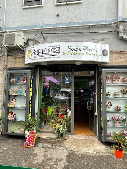 Il Giardino Di Favolandya FIORI E PIANTE. Corner Fish OK! Pesci E Acquari, Fiorista a Foggia