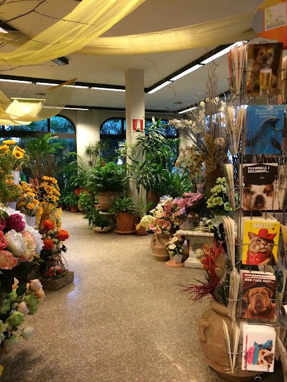 Vivaio Gregori Domenico - Ginetta, Fiorista a Mediglia